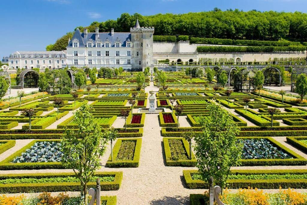 Amalouyse Studio De Charme Au Coeur Des Chateaux De Loire Montlouis-sur-Loire Dış mekan fotoğraf
